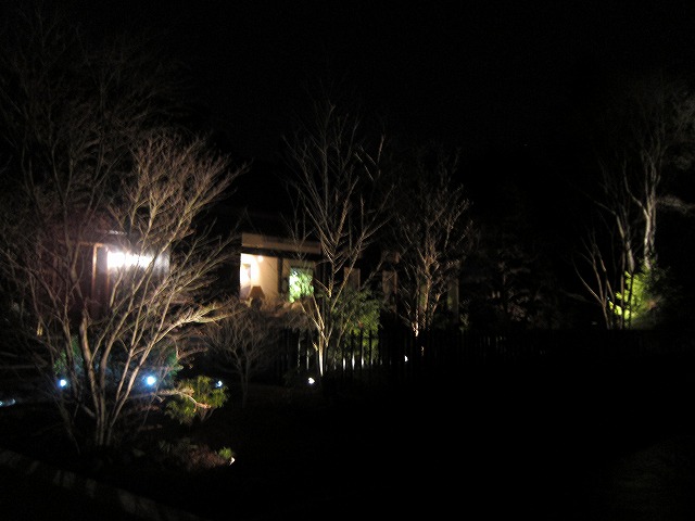 d0133485_1784885.jpg
