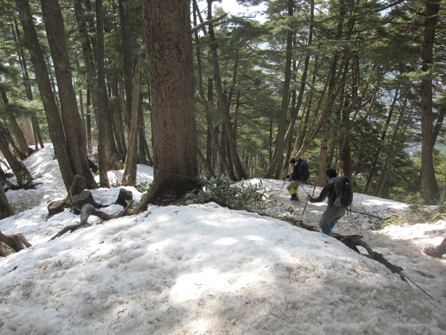 c0133096_8533889.jpg