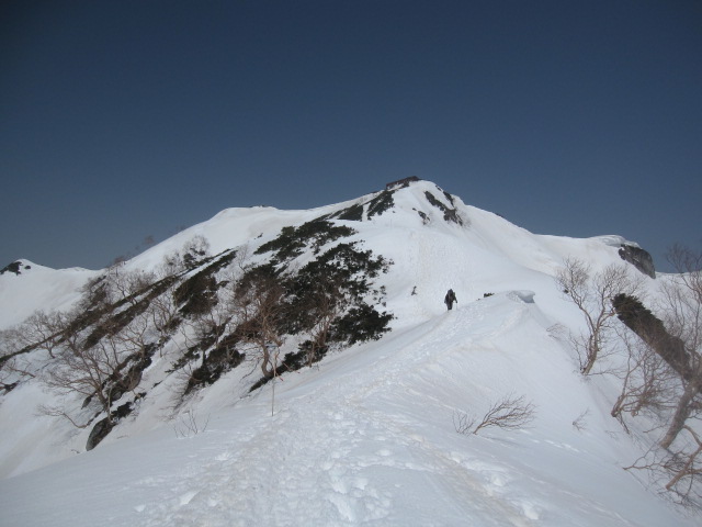 c0133096_97319.jpg