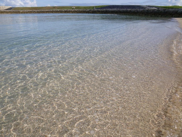 沖縄のきれいな海を子供たちにも残したい。いつまでも守りたい…_c0193396_10541384.jpg