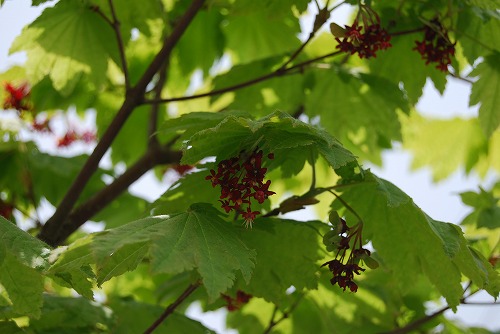 c0124100_2251469.jpg