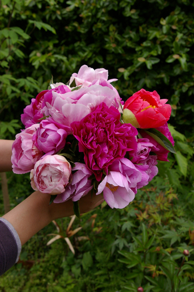芍薬ブーケ_f0162400_22212795.jpg