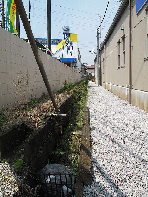 c0163001_23271828.jpg