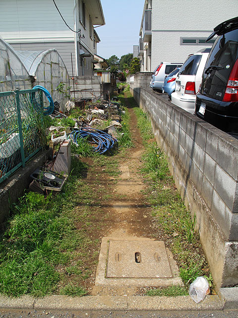 c0163001_232747.jpg