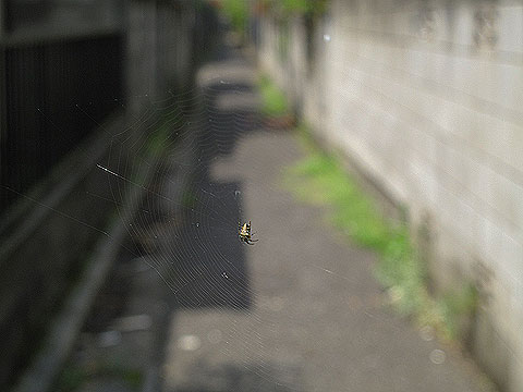 c0163001_23274955.jpg