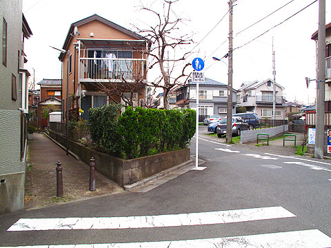 c0163001_2328054.jpg