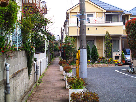 c0163001_2328355.jpg