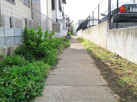 c0163001_23415345.jpg