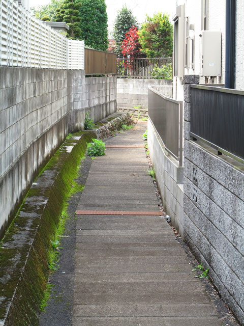 c0163001_2341994.jpg
