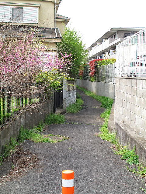 c0163001_23422378.jpg