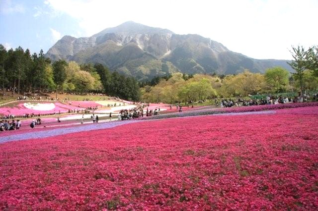 報道写真家ごっこ再び　_c0186001_6145063.jpg