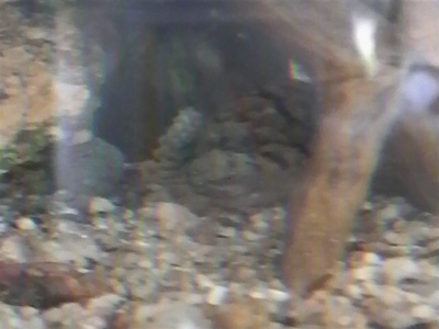 f0082402_1853524.jpg