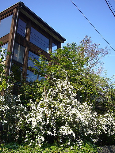 b0114403_865144.jpg
