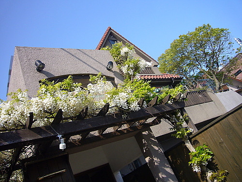 b0114403_875768.jpg
