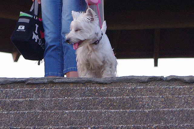 e0138005_1252024.jpg