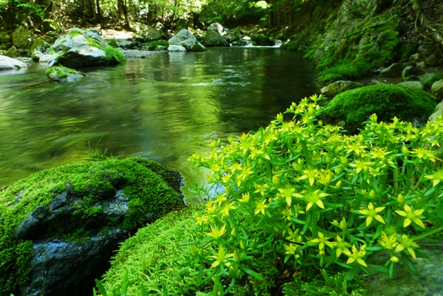 a0097006_21155418.jpg