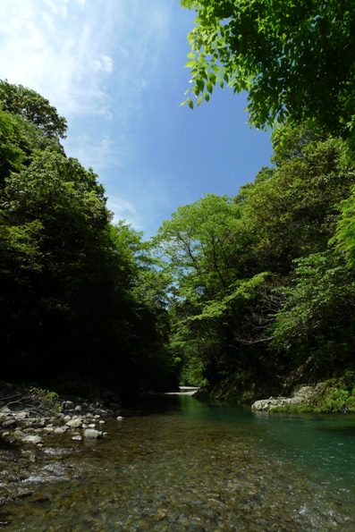 a0097006_21193075.jpg