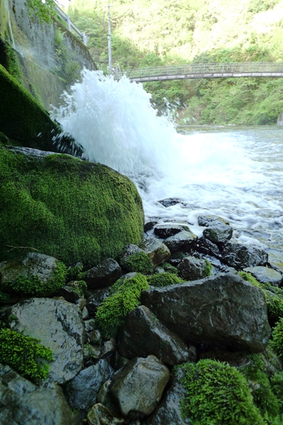 a0097006_21262988.jpg