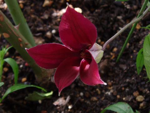 c0147909_17213763.jpg
