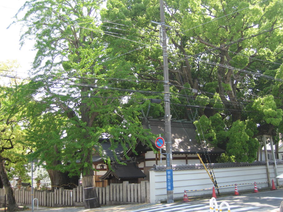 c0180009_10201069.jpg