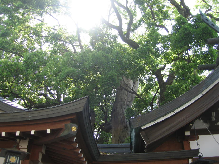 c0180009_1021124.jpg