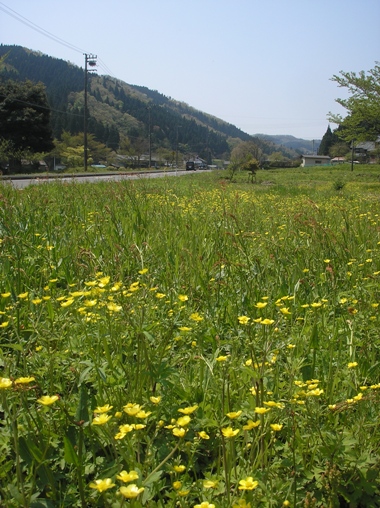 d0115409_1035136.jpg