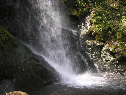 d0115409_1059717.jpg