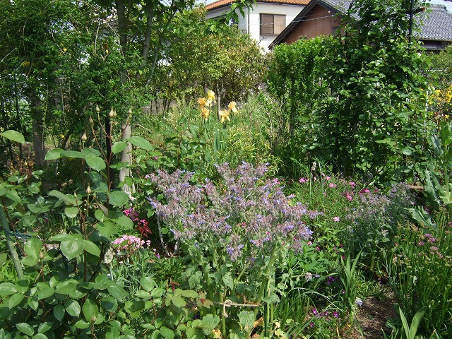 b0107310_21491226.jpg