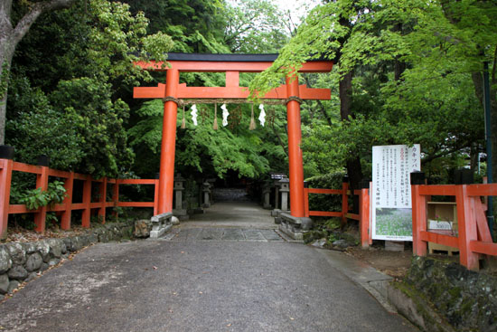 太田神社 杜若満開_e0048413_21143884.jpg