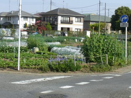 c0132714_0413394.jpg