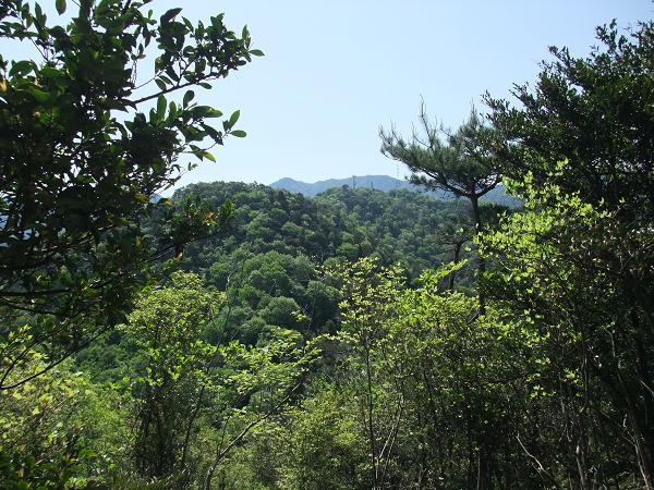 d0143615_10472418.jpg
