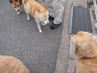 4月29日から GW前半_e0136815_2139199.jpg