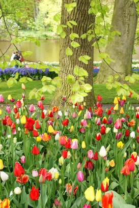 Keukenhof 2010_b0083417_102716.jpg