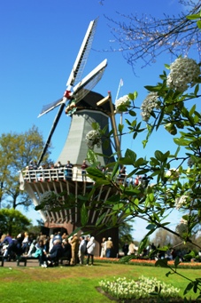 Keukenhof 2010_b0083417_14583.jpg