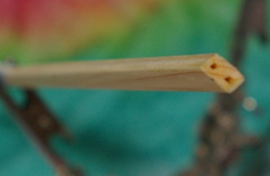 c0012819_10494828.jpg