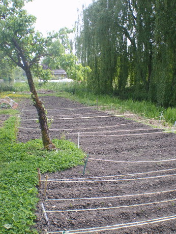 c0124619_4133663.jpg