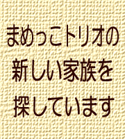 f0085219_21535345.gif