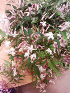 c0137720_0241438.jpg