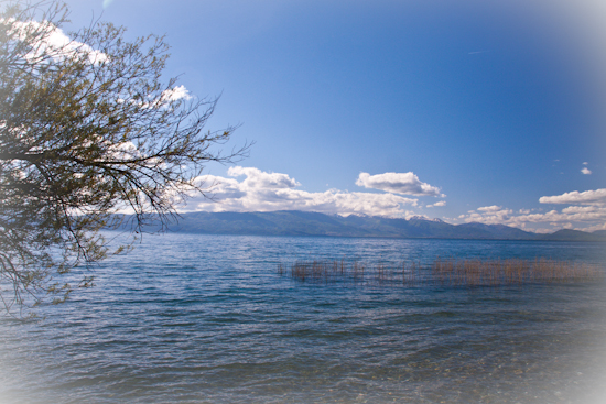 f0039021_7142652.jpg