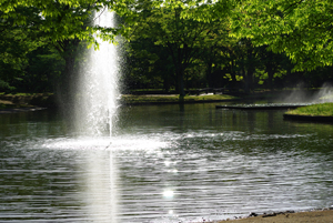 雨上がりの公園_c0048023_8413260.jpg