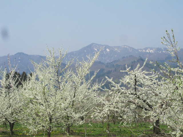 c0141223_19481556.jpg