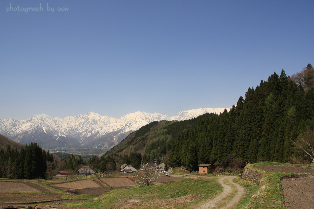 e0123723_6151580.jpg