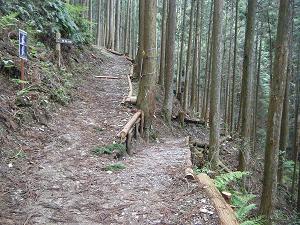 万葉の小道に 名所が増えました_e0154524_1846585.jpg