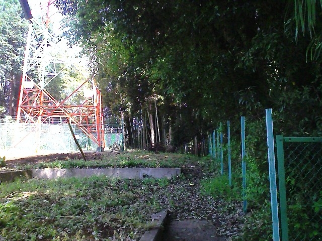 b0184725_17554989.jpg