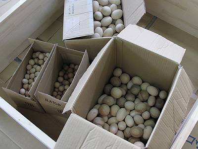 e0128025_7142484.jpg