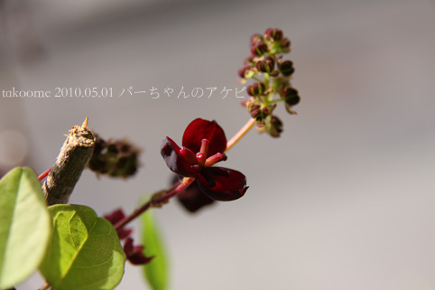 d0042827_206368.jpg