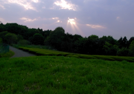 Esに燃える!_b0163129_13142852.jpg