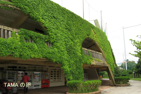 c0024729_1833693.jpg