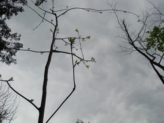 b0147630_20494639.jpg