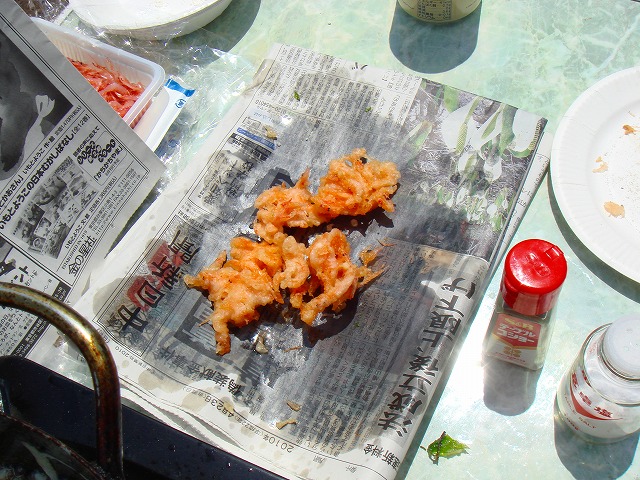 b0147630_2050459.jpg